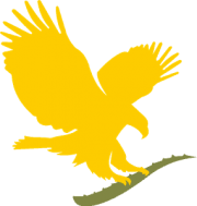 contextlife_forever_living contextlife_forever_living